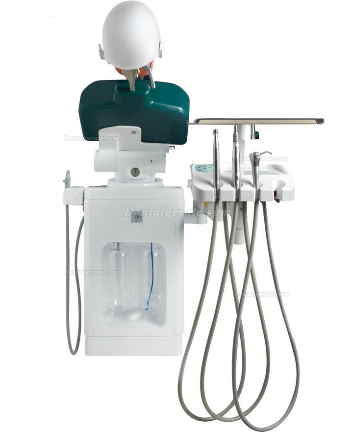 Jingle JG-A2 Phantomkopf Zahnmedizin-Patientensimulator Mit Zahnarzthocker und Zahnlampe